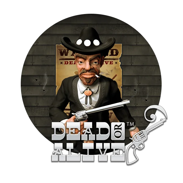Dead or Alive 2 slot artwork